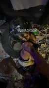 zommmbri Altpins Profile Picture