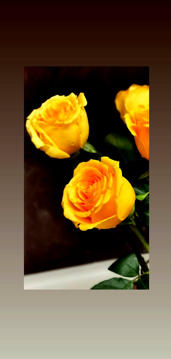 shulunc instagram image archive image