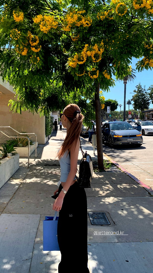 daxbin instagram image archive image