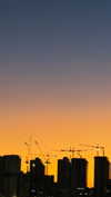 lissi77 Altpins Profile Picture
