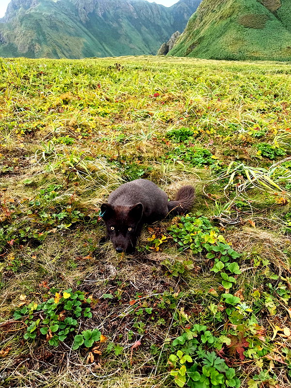 pokrov90 instagram image archive image