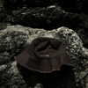 zoeliss Altpins Profile Picture