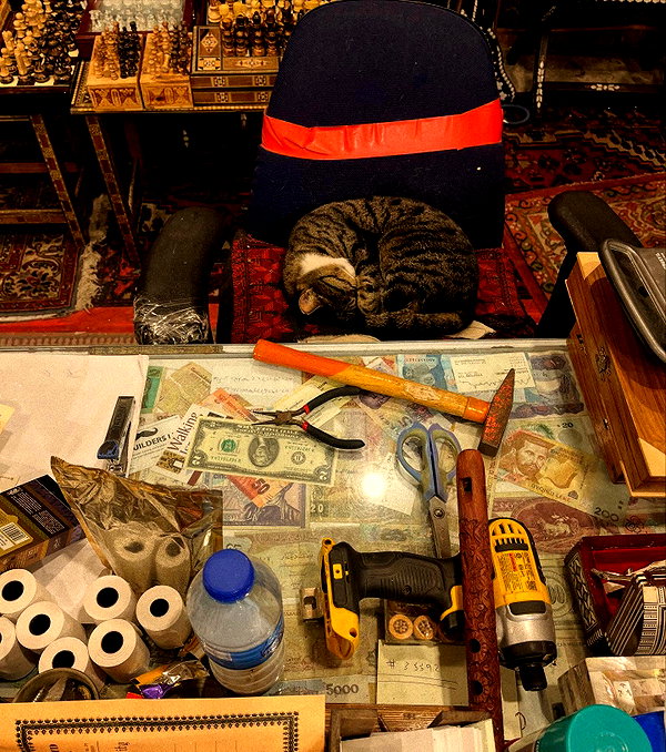 _femalien instagram image archive image