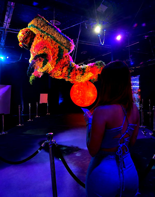 shanidahan7 instagram image archive image