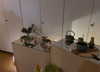 anesa.zm Altpins Profile Picture