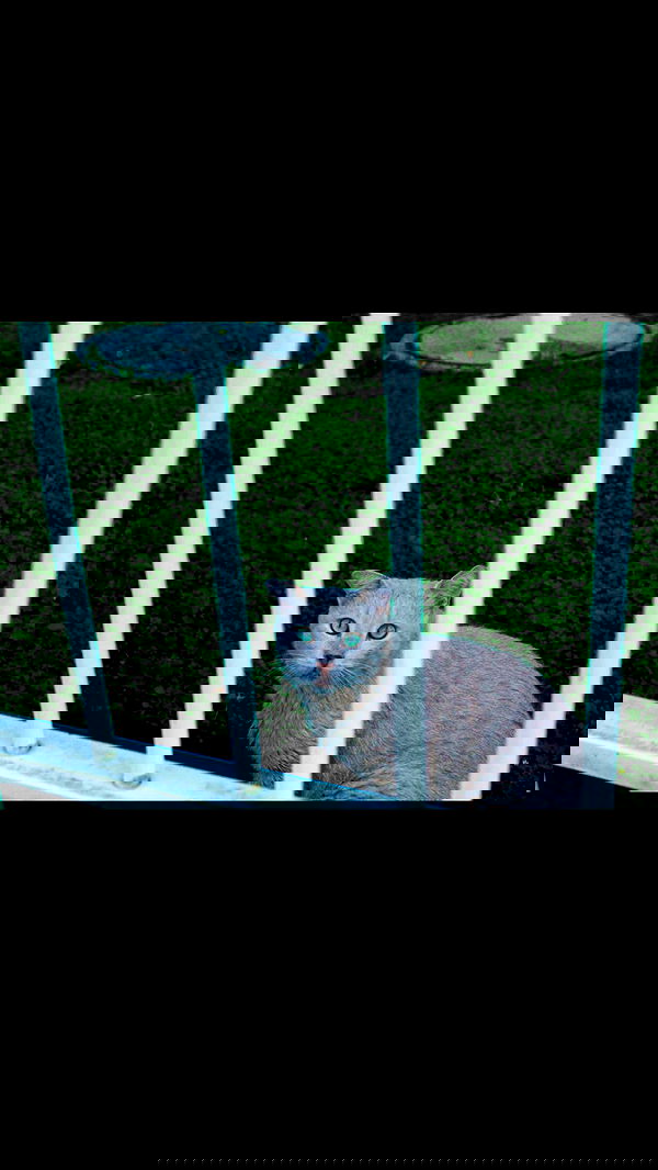 laluzone laluzone archive image