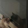 suik0muu Altpins Profile Picture