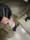 flawlessa Altpins Profile Picture