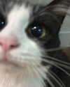 catl0verr69 Altpins Profile Picture