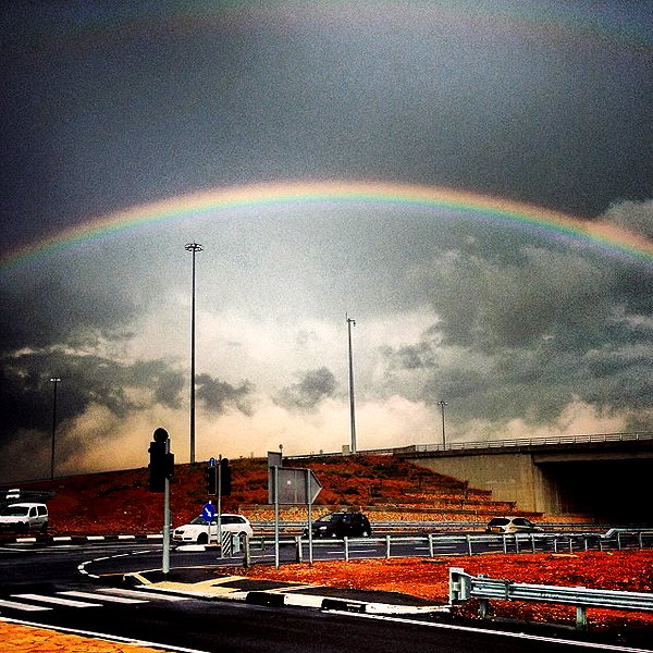 barzomer instagram image archive image