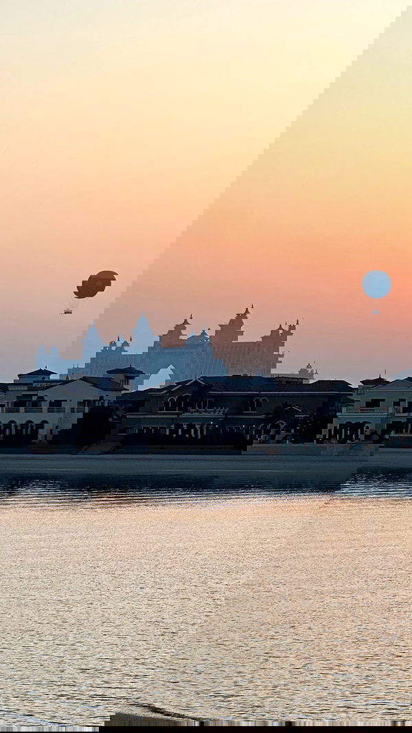 taylor.creeden taylor.creeden archive image