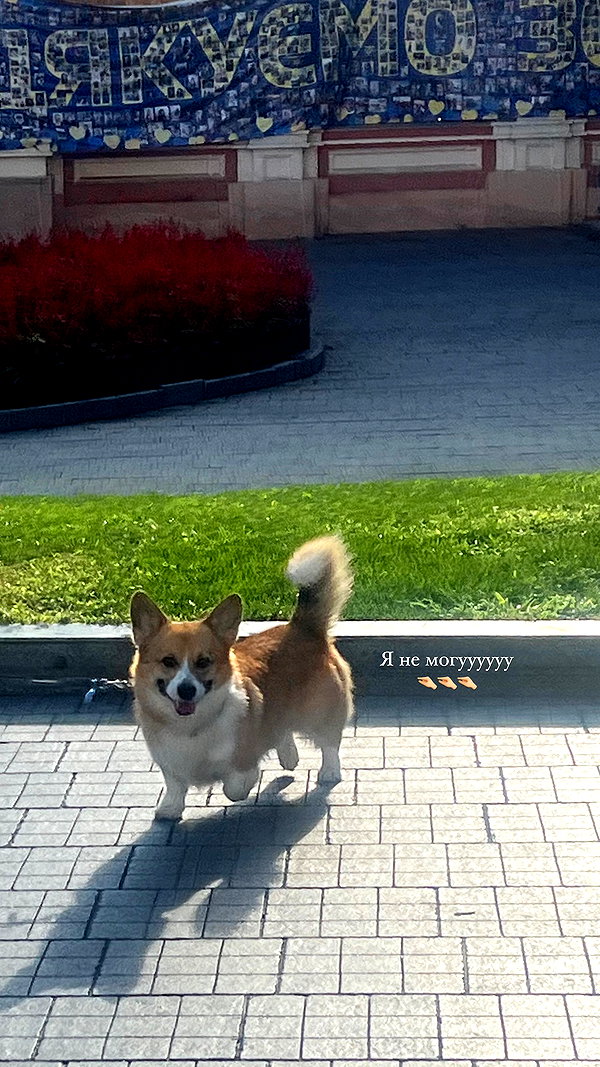 Archived image from @dana_ratushany on Instagram
