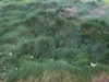 0nlygrlinthewrld Altpins Profile Picture