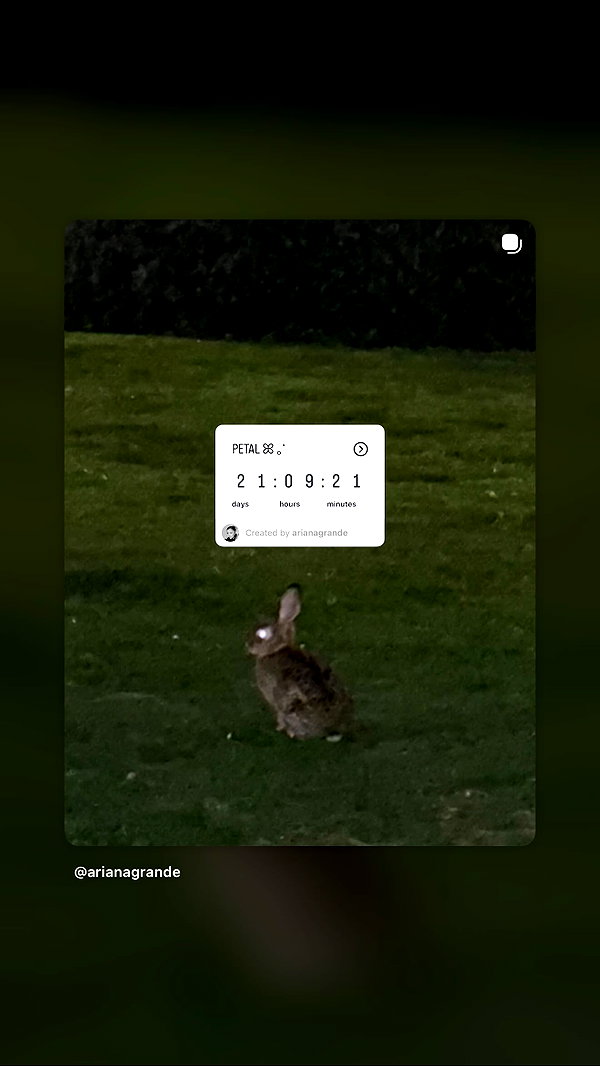 arianagrande instagram image archive image