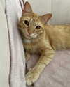 owlydiaa Altpins Profile Picture