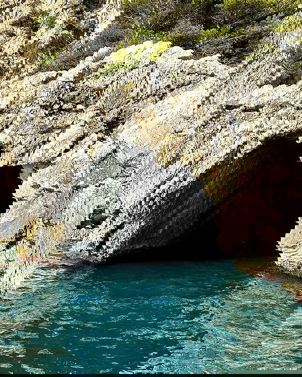 taylor.creeden taylor.creeden archive image