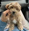 kafelnikova_a Altpins Profile Picture