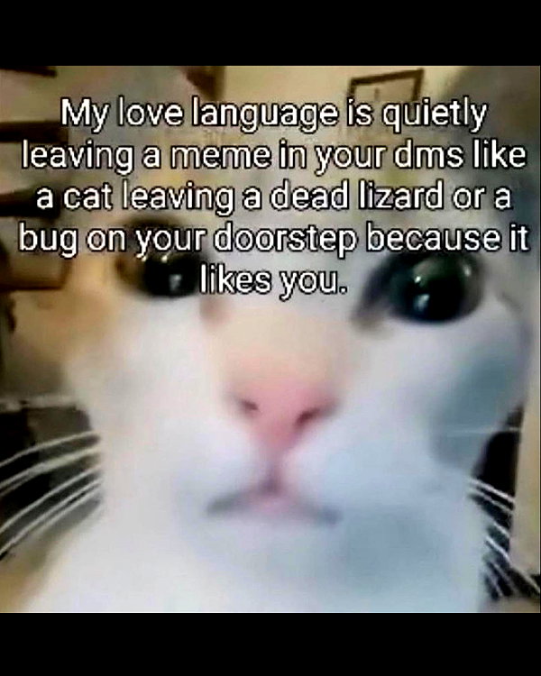 leanbeefpatty instagram image archive image