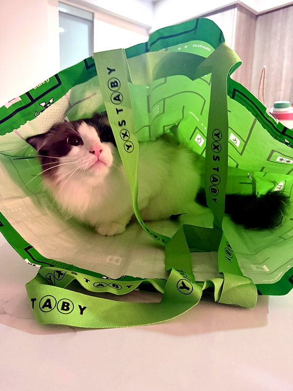 duckieirl archive image