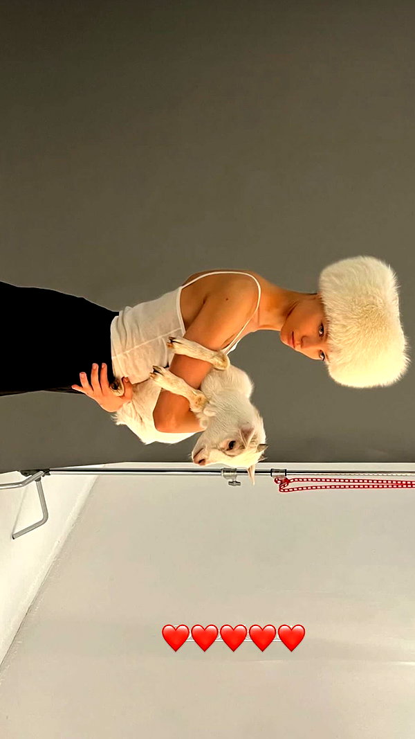 kafelnikova_a instagram image archive image
