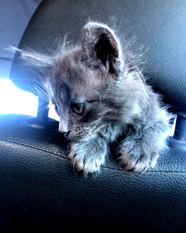 Archived image from @_aldibernardo on Instagram