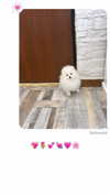 elsgatti Altpins Profile Picture