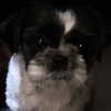 nyxaainaaa_ Altpins Profile Picture