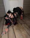 m0rguekittyy Altpins Profile Picture
