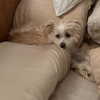 madelame Altpins Profile Picture