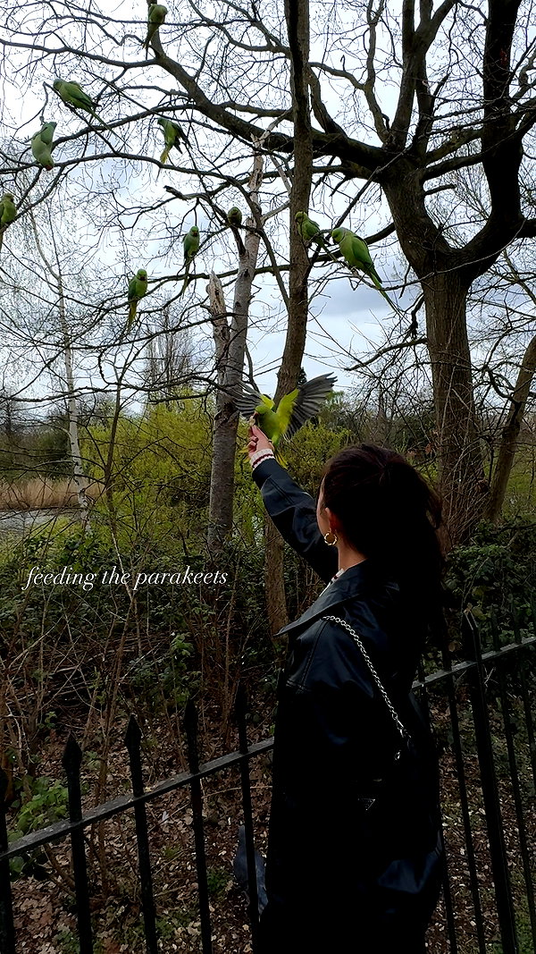 chloerosenbaum instagram image archive image
