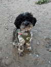 bymonamarie Altpins Profile Picture