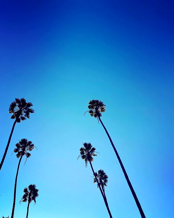 gabimfmoura instagram image archive image