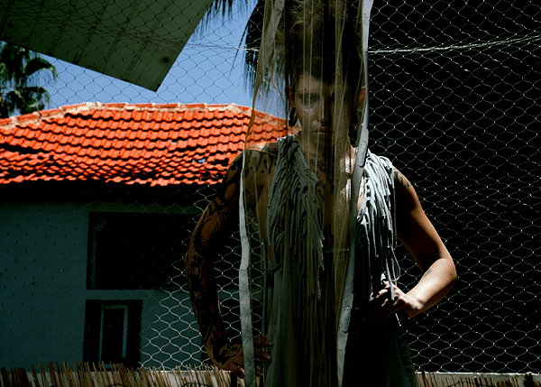tergi_qris archive image