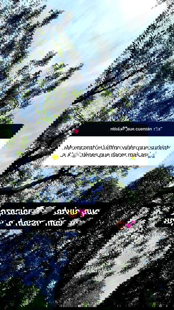 shunli__mei shunli__mei archive image