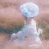 erokochiba Altpins Profile Picture