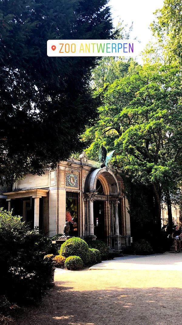 nikoleta.milenova instagram image archive image