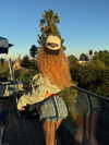 curlyfriesjazz Altpins Profile Picture