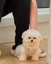 ll.lu1s Altpins Profile Picture