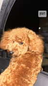 yaarat11 Altpins Profile Picture