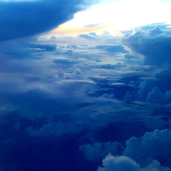 muze instagram image archive image