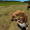 rouxroux.tv Altpins Profile Picture