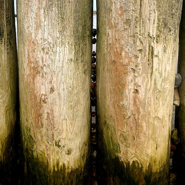 stranstviepera instagram image archive image