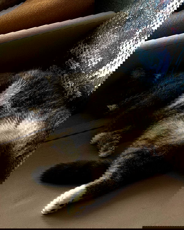 kkulakovaa image ~ Altpins