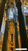 nikoleta.milenova Altpins Profile Picture