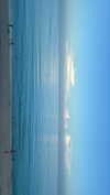 olivia.bolgerr Altpins Profile Picture