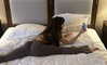 milena_milachich Altpins Profile Picture