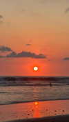 michalcohen___ Altpins Profile Picture