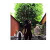 bora__look Altpins Profile Picture