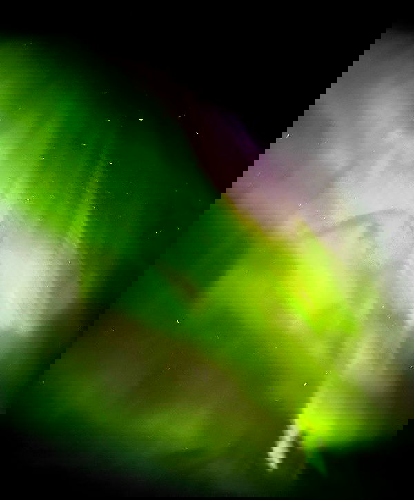 taylor.creeden taylor.creeden archive image