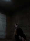 avitallllllllllllllll Altpins Profile Picture
